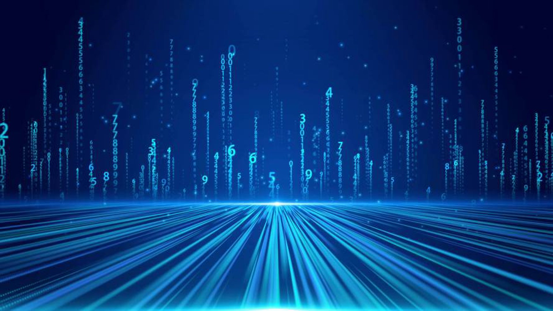 浩阳网络